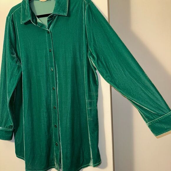 Soft Surroundings XL Green Velvet Button Down LS Collared Womens Shirt EUC - Picture 4 of 11